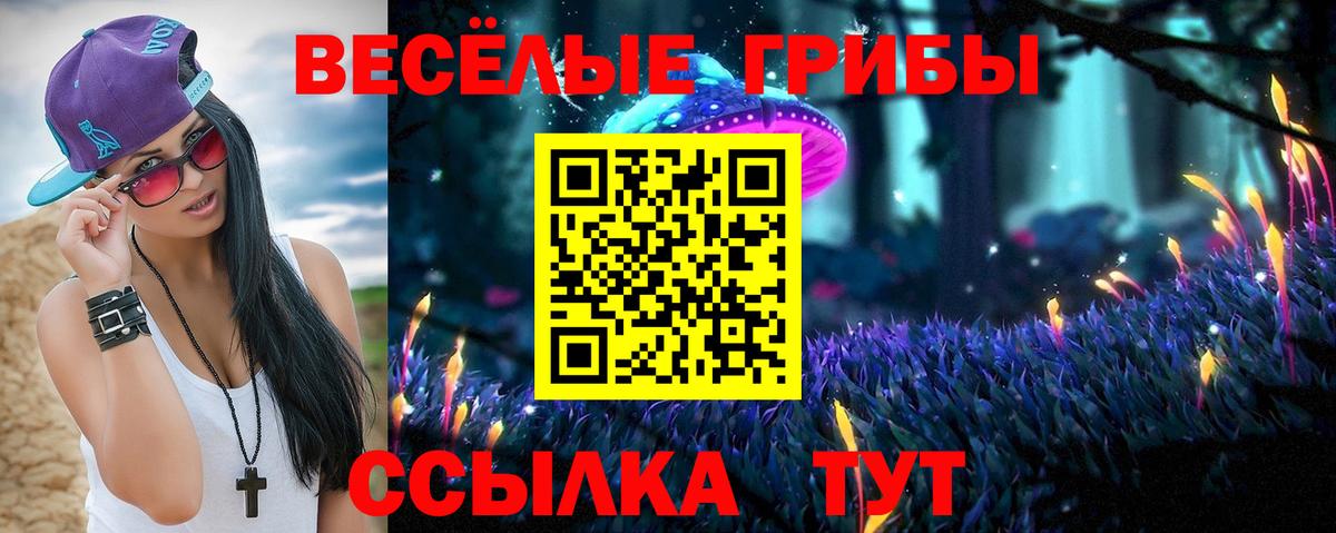 Галлюциногенные грибы Psilocybe Щёлково